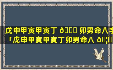 戊申甲寅甲寅丁 🐞 卯男命八字「戊申甲寅甲寅丁卯男命八 🦋 字详解」